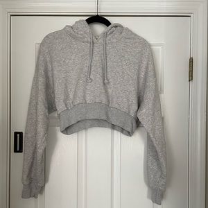 Aritzia Tna Cropped Hoodie | Size Small